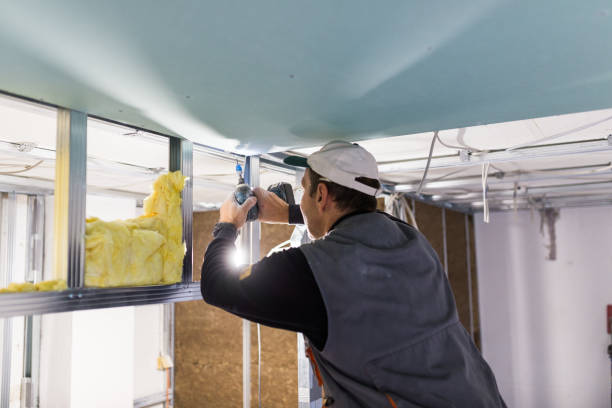 Best Insulation Replacement Services  in Reynoldsville, PA